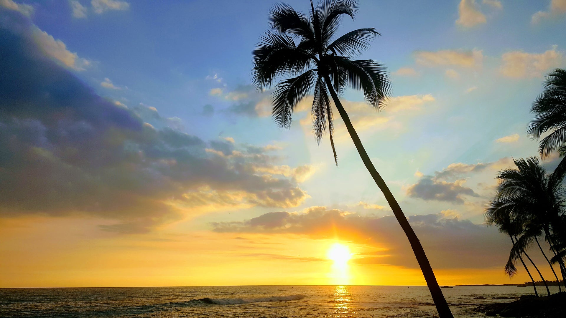 Load video: Sending You Aloha