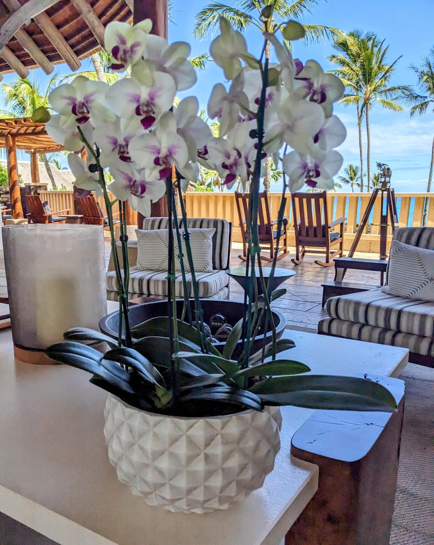 Sending You Aloha Flowers Flower Arrangements custom quote - Local Delivery only