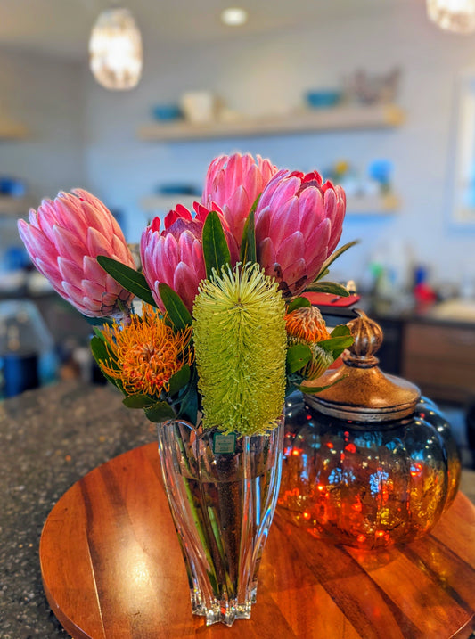 The Most Beautiful Protea Varieties