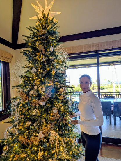 Christmas Tree & Holiday Decorating