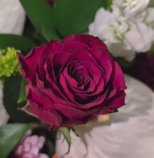 Flower Arrangements - Local Delivery